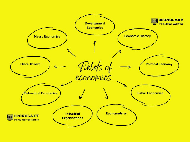 economics phd fields